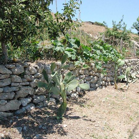Old Winery House Vila Kolymbari Exterior foto