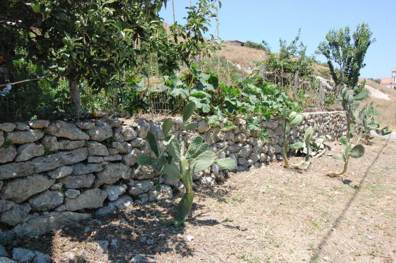 Old Winery House Vila Kolymbari Exterior foto