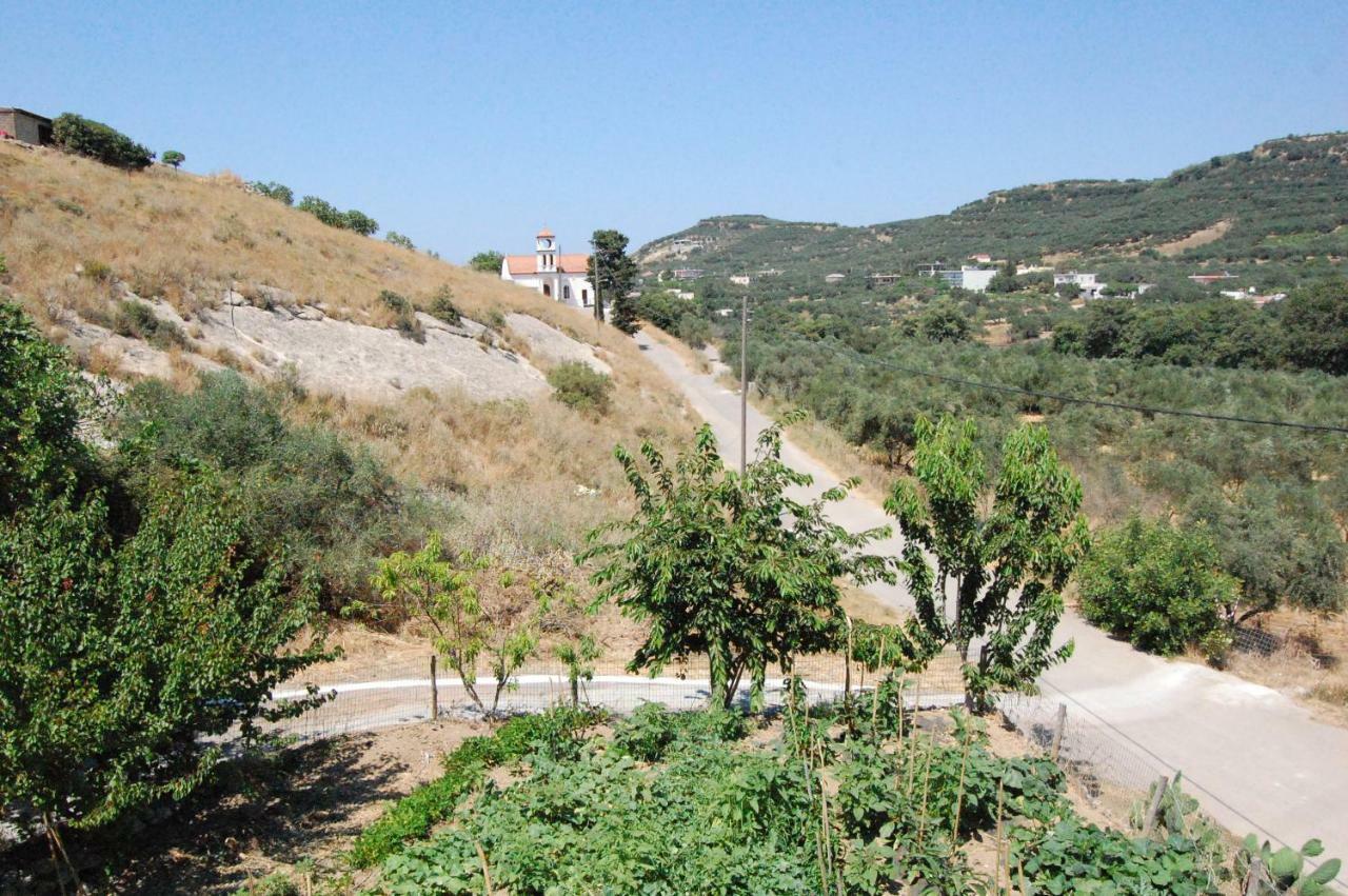 Old Winery House Vila Kolymbari Exterior foto