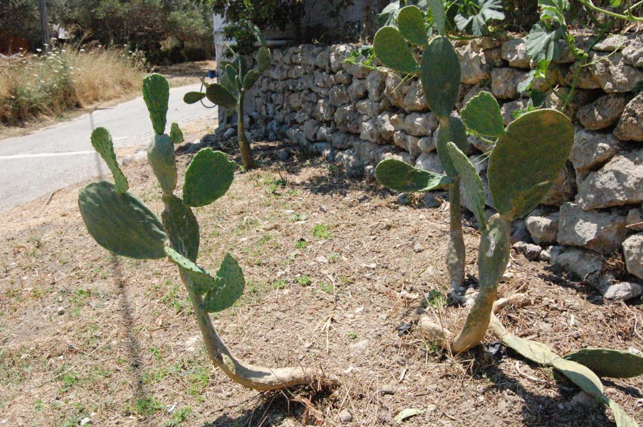 Old Winery House Vila Kolymbari Exterior foto