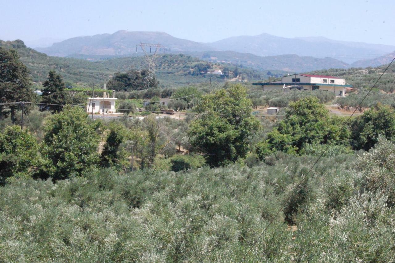 Old Winery House Vila Kolymbari Exterior foto
